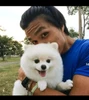 Profile picture of S