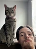 Profile picture of Robert