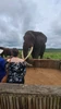 Profile picture of Anke-Victoria Viljoen