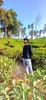 Profile picture of Akhil dev