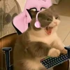Profile picture of Val