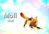 Profile picture of Moli
