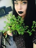Aly 的個人照片