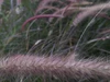 Profile picture of Andra