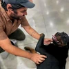Profile picture of Jesse