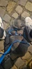Profile picture of Edgar