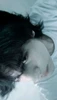 Profile picture of Fil