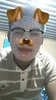Foto de perfil de Rodrigo