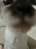 Profile picture of Red