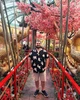 Jay 的個人照片
