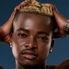 Profile picture of Teddy