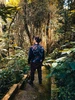 Foto profil Felipe