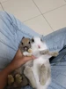 Tom 的個人照片