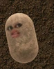 Profile picture of Gem