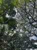 រូបភាពប្រូហ្វាល់របស់ zia