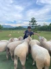 T 的個人照片