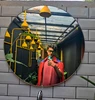 Hulagway sa profile ni Roshan