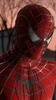 Peterのプロフィール画像