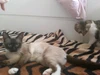 Kitty 的個人照片