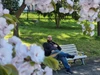 Foto de perfil de Antonio Marco