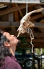 Profile picture of Pancho