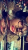 Profile picture of Neithan