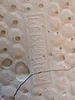 Profile picture of PaleBWC