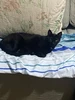 Foto de perfil de Xcca