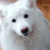 Profile picture of E