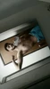Profile picture of Santiago Gontier