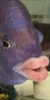 Profile picture of Οκ