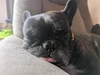 Profile picture of Christine