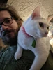 Profile picture of Travis