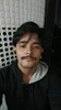 Profile picture of N