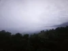 פראפיל בילד פון Ghost