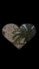 Profile picture of me