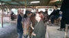 Profile picture of Leonita