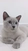 Profile picture of Sasha