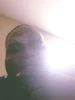 Montrey Hollis 的個人照片