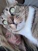 Profile picture of Juniper