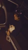 Eddie 的個人照片
