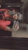 Profile picture of Autumn