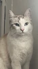Profile picture of Diego