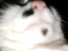 Profile picture of Tess