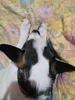 Foto de perfil de Jessica
