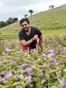 Arvind Krishna جي پروفائيل تصوير
