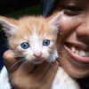 Profile picture of Vhye