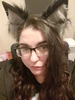 Profile picture of Omni