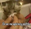 Profilna slika korisnika Ram