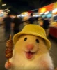 Profile picture of Mimi